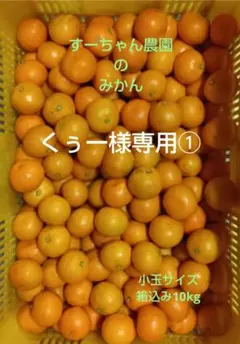 くぅー様専用①　和歌山県産みかん　箱込み10kg