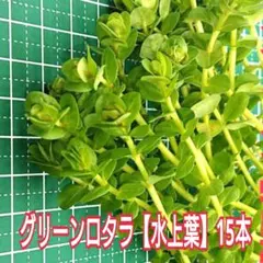 Rio☆様 リクエスト 3点 まとめ商品