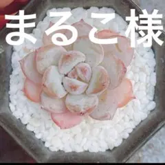 まるこ様 リクエスト 3点 まとめ商品
