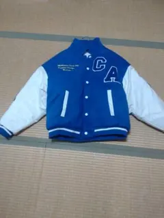 Item thumbnail for item 86468020-34de-4355-9003-fa7e0f512638