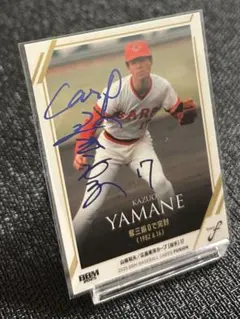 Item thumbnail for item 67c507bb-8c45-4b7d-8779-17da93de06b2