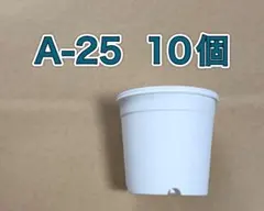 《A-25》白 10個 プラ鉢 スリット鉢 多肉植物 丸型のサムネイル