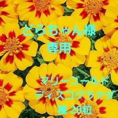 どらちゃん様 リクエスト 2点 まとめ商品