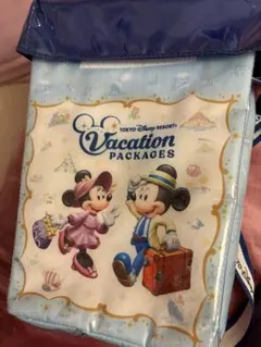 ディズニー　ポップコーン　ケース　バケット