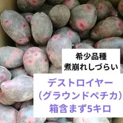 農家直送！長崎県産デストロイヤーじゃがいも小 5㎏ - メルカリ