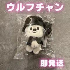 ウルフチャン SKZOO COSTUME MAGNET PLUSH KEYRIN