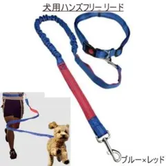 Item thumbnail for item ffd434aa-b822-4cd7-bb9f-72bd0ecd22c7