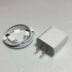 未使用 apple社純正 USB-C充電器 ライトニングケーブル