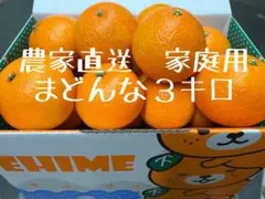 2【農家直送】愛媛県産　愛果28号　　(紅まどんな)サイズおまかせ　3キロ