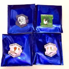 鬼滅の刃 無限城編 モチーフピンズ 天元 炭治郎 かなた くいな