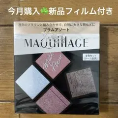 マキアージュ カスタマイズアイカラー アソート 05プラムアソート
