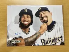 オリックス・バファローズ 選手フォト コンビver. エスピノーザ＆マチャド