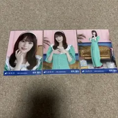 乃木坂46 生写真 コンプ 14周年記念 アニバーサリー 岩本蓮加 - メルカリ