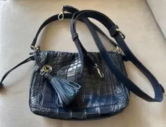 【超美品】JRA公認　リアルクロコダイル　ボーグラン