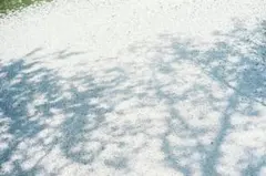 Item thumbnail for item 0d990772-0ec2-427a-8ace-2ed9b6ca2151