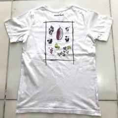 mont-bell フルーツ Tシャツ カットソー 美品 ホワイト Mのサムネイル