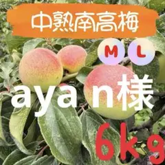 4 sms☆様 中熟南高梅 2•3Lサイズ 10kg - メルカリ
