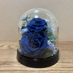 ❣️限定1個❣️新品❣️14000円⁈ブリザードフラワーガラスケース薔薇 ❣️限定1個❣️新品❣️14000円⁈ブリザードフラワーガラスケース薔薇
