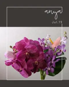 JUL.19 バンダ☆シーズンブーケ・切り花セットのサムネイル