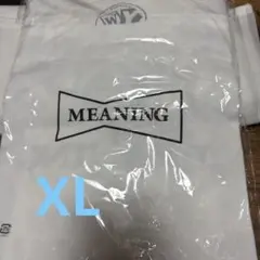ミーニング ウェイステッドユース Tシャツ MEANING × WY Teeのサムネイル
