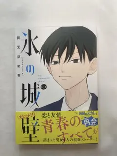 氷の城壁　1〜10巻　初版 氷の城壁 10巻 新品未読 シュリンク付きの通販 by 天音's shop