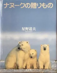 2026年最新】星野道夫の人気アイテム - メルカリ