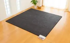 電磁波対応ホットカーペット二畳　中古品　保管品 直送】ゼンケン ホットカーペット 3畳 電磁波99％カット 6K353W 電気