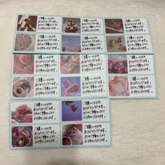 サンキューカード サンキューシール 手書き 30枚 シール サンクスカード