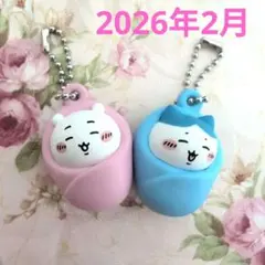 【匿名即日発送】ちいかわ　おくるみマスコットチャーム ちいかわ ハチワレ