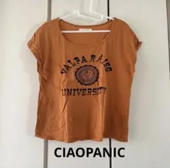 チャオパニック　刺繍Ｔシャツのサムネイル