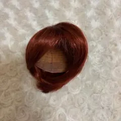ウィッグ 10インチ