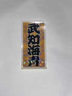 武知海青 ネームステッカー