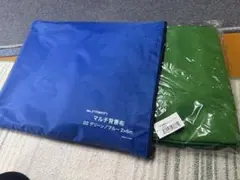 Item thumbnail for item 244bf25e-edf2-48b2-a488-38892ebf0923