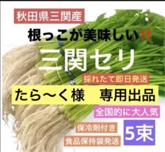 2026年最新】三関せりの人気アイテム - メルカリ