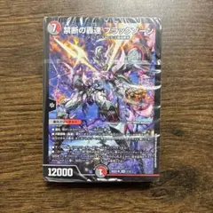 禁断の轟速 ブラックゾーン 22EX2 57/515 - メルカリ