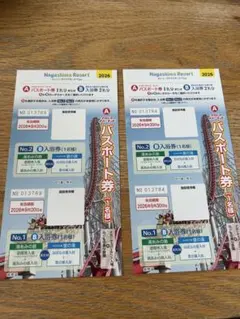 ナガシマスパーランド　パスポート券 2枚セットのサムネイル