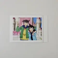 名探偵コナン ぱしゃこれvol.4 工藤新一 毛利蘭 トロピカルランド