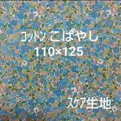 コットン　こばやし　colony　Polar bear　フラワー　スケア