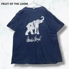 フルイトオブザルーム 半袖Tシャツ 紺 XL アニマル ビッグプリント アメカジ