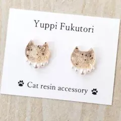 あいか様 リクエスト 2点 樹脂ピアス　まとめ商品