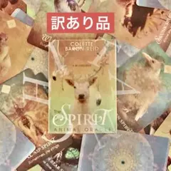 soh_22様 リクエスト 2点 まとめ商品