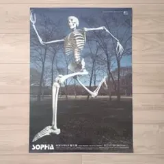 2026年最新】SOPHIA ポスターの人気アイテム - メルカリ