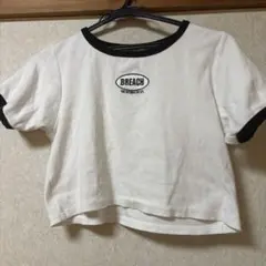 ロゴ クロップドTシャツ INGNI 半袖 チビT