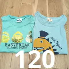 120 イージーフリークハッシュアッシュ　 Tシャツ 2枚　まとめのサムネイル