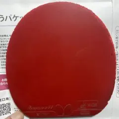 卓球　ディグニクス05 2枚セット