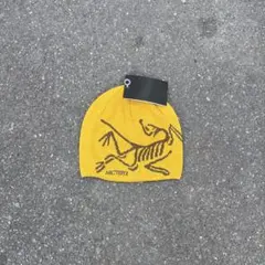 y2k archive knit beanie bird logo c-boy