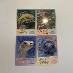 3枚セット】鳥羽水族館コレクションカード vol.1 - メルカリ