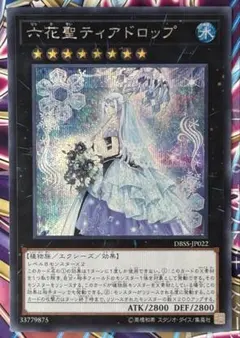 2025年最新】六花聖ティアドロップの人気アイテム - メルカリ