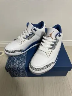 Air Jordan 3 True Blue and Copper 27.5cm