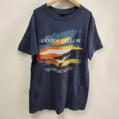James Taylor 古タグ anvilL Tシャツ Ｍぐらい 2026年最新】JAMES taylor tシャツの人気アイテム - メルカリ